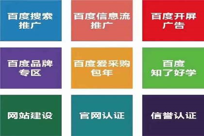 谷歌竞价广告在电商行业的运用案例